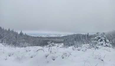 Les Grands Bois de  Pionsat