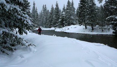 Du Pla de Barrès aux Bouillouses : la vallée de la Têt