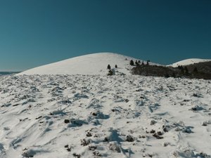 Les deux Suchet