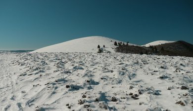 Les deux Suchet