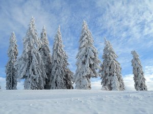 Ski de randonnée nordique : la saison est lancée !