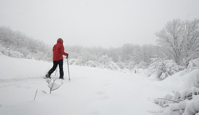 Bugey, le Mollard de Don