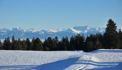 Col de Marchairuz - Combe des Puits