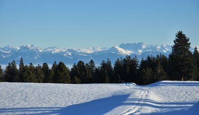 Col de Marchairuz - Combe des Puits