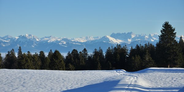 Col de Marchairuz - Combe des Puits