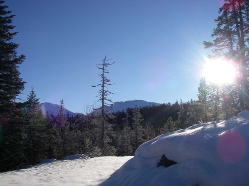 Ski-pulka en Vercors