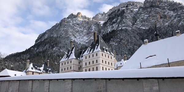 Génuflexions de la première neige