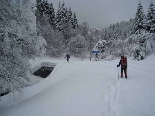 Traversée de la Margeride