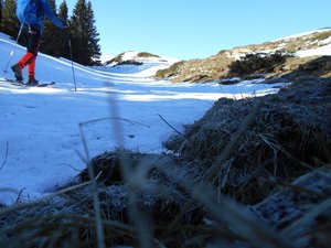 La Croix de l'Alpe, enfin presque