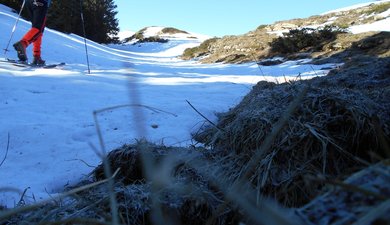 La Croix de l'Alpe, enfin presque