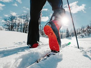 Alpina Pioneer : nouvelle chaussure et nouveau ski pour la fixation Rottefella Xplore