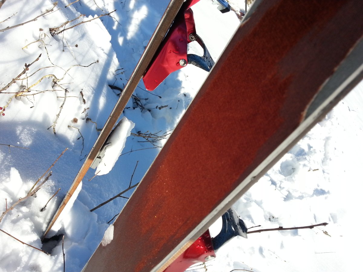 Skis-Raquettes avec peaux de phoque intégrées