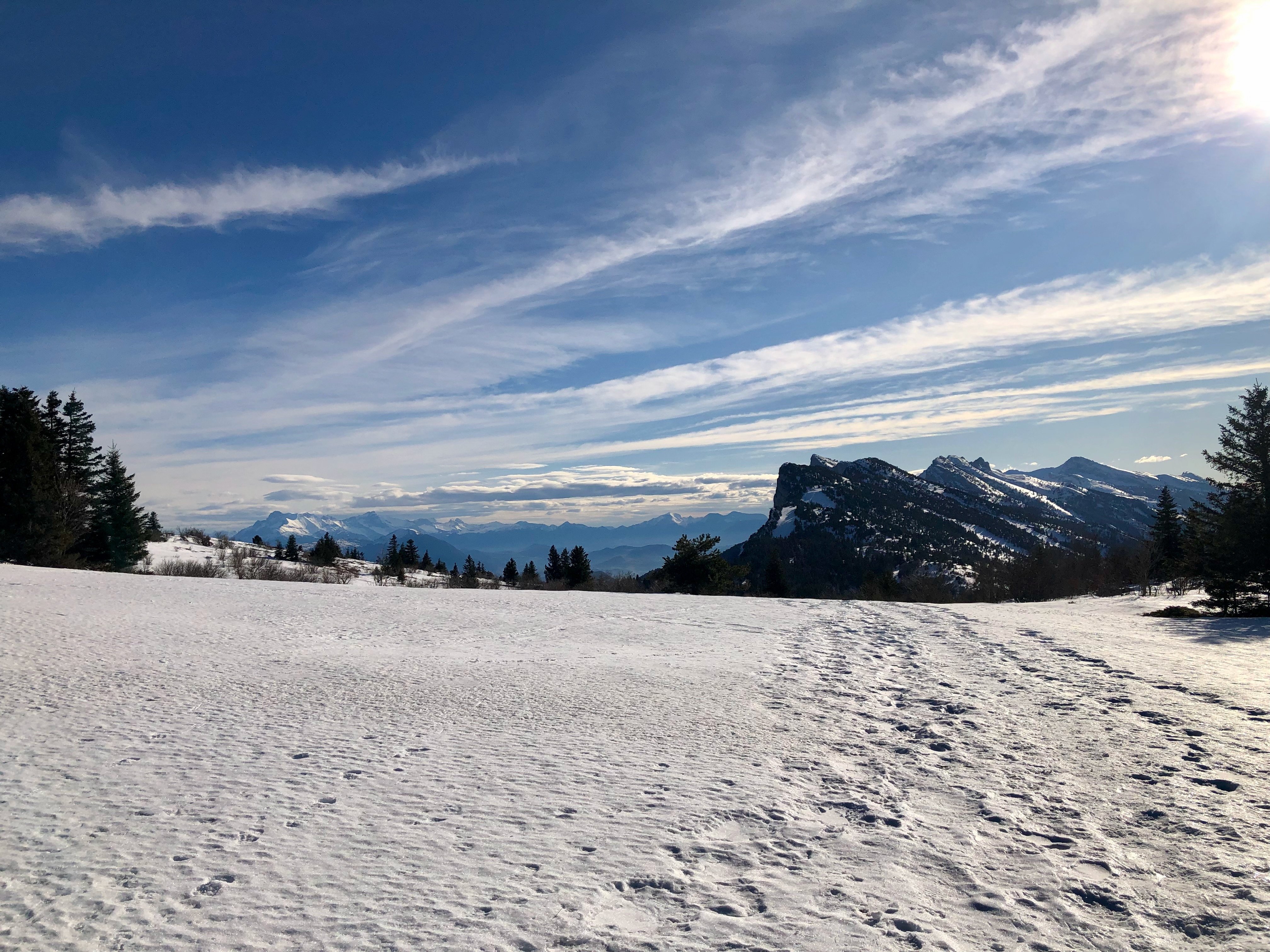IMG_6370.jpeg