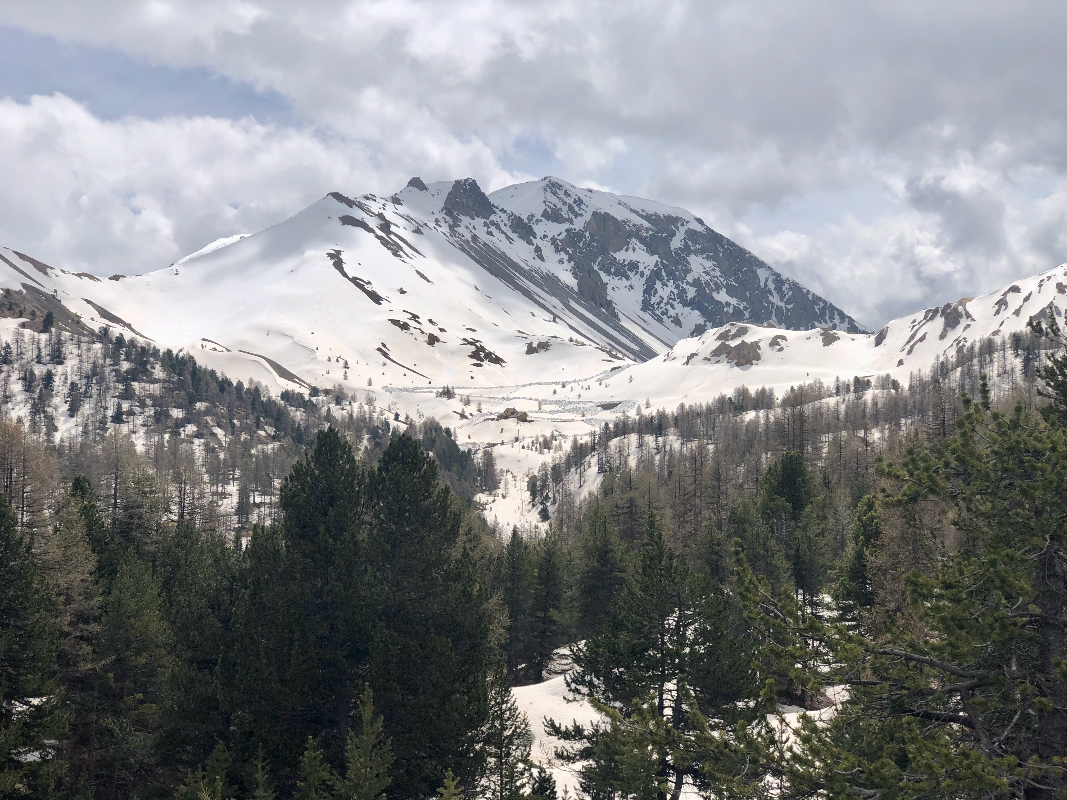 IMG_5037.jpeg