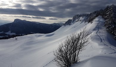 Col de la Croix Perrin - La Molière