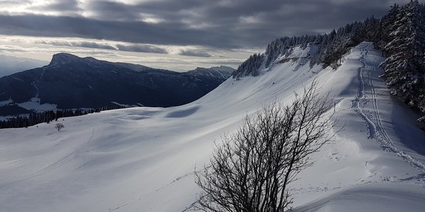 Col de la Croix Perrin - La Molière