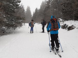 Lans-en-Vercors - Les Ramees