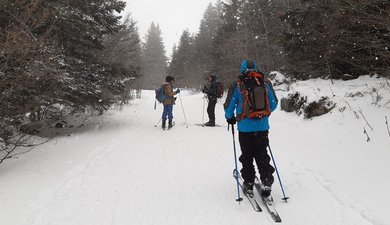 Lans-en-Vercors - Les Ramees