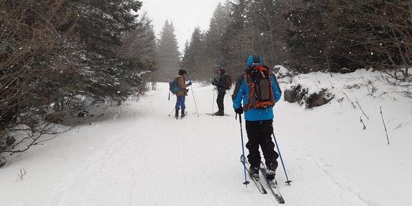 Lans-en-Vercors - Les Ramees