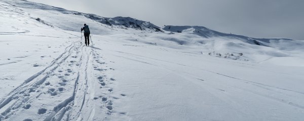 IMG_7875.jpg