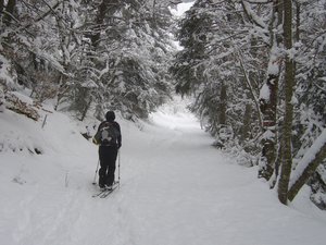 Jour blanc au Sornin dans la fraîche