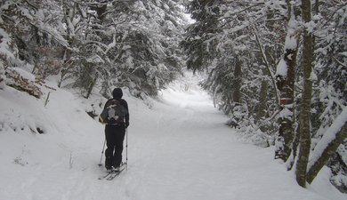 Jour blanc au Sornin dans la fraîche