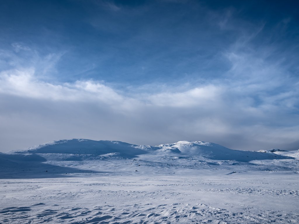 DSC_3018.jpg