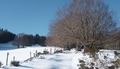 Montagne Ardéchoise en SRN !