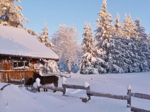 Aventure nordique dans la montagne ardéchoise