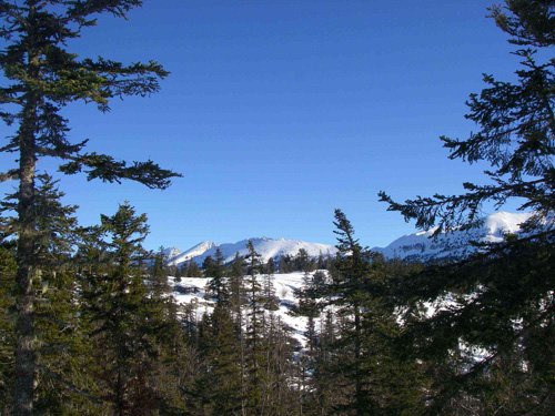 Au fond les crêtes du Vercors