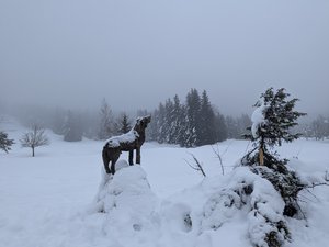 Aller-retour à Tiolache du Milieu depuis Corrençon