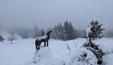 Aller-retour à Tiolache du Milieu depuis Corrençon