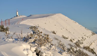 Ventoux