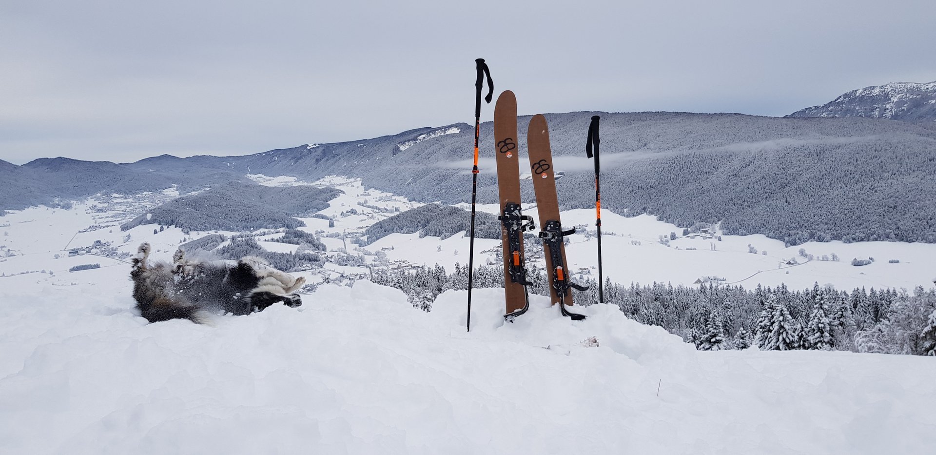 ski-de-randonnee-nordique-canirandonnee-meaudre-narces.jpg