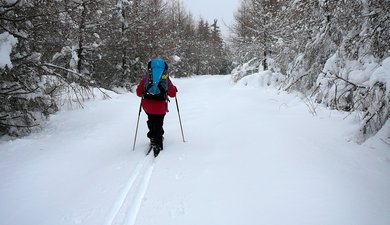 Sougeat-la-Souze : boucle du lac Chauvet