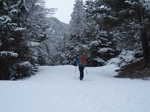 Vallon de Mollières