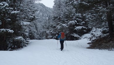 Vallon de Mollières