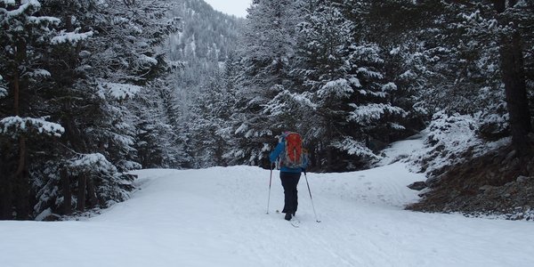 Vallon de Mollières