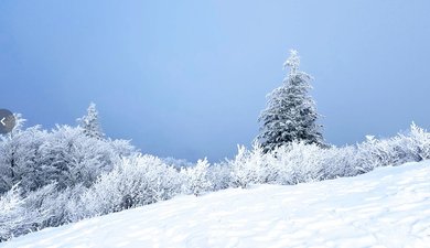 Puy des Goules