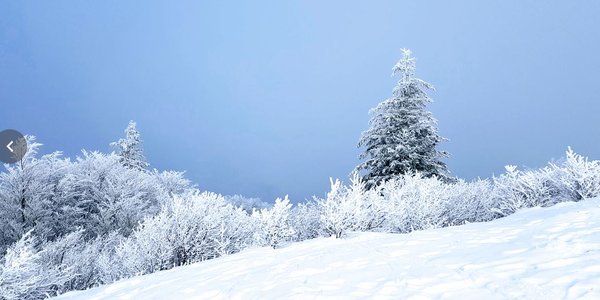 Puy des Goules