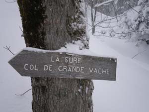 Direction Col de la Grande Vache - La Grande Sure