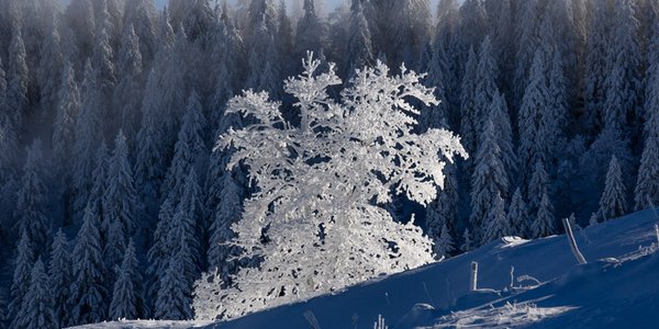 Vue-des-Alpes-Mont Perreux-Mont d'Amin