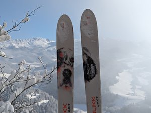 Les balcons du Méaudret depuis les Narces