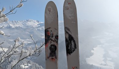 Les balcons du Méaudret depuis les Narces
