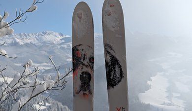 Les balcons du Méaudret depuis les Narces