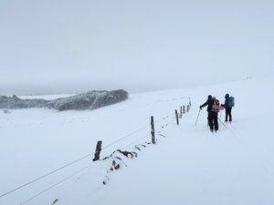 Boucle Monts d'Aubrac / vallon de la Cabre