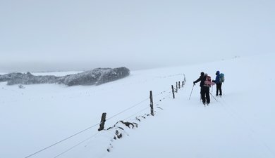 Boucle Monts d'Aubrac / vallon de la Cabre