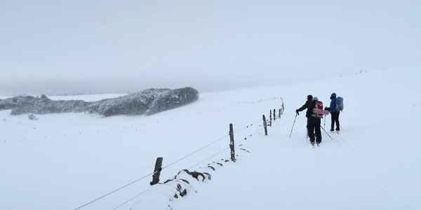 Boucle Monts d'Aubrac / vallon de la Cabre