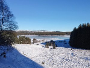 Boucle en "petite Finlande lozérienne": lac de Charpal, - Truc de Fortunio - Signal de Randon