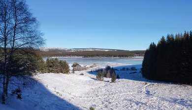 Boucle en "petite Finlande lozérienne": lac de Charpal, - Truc de Fortunio - Signal de Randon